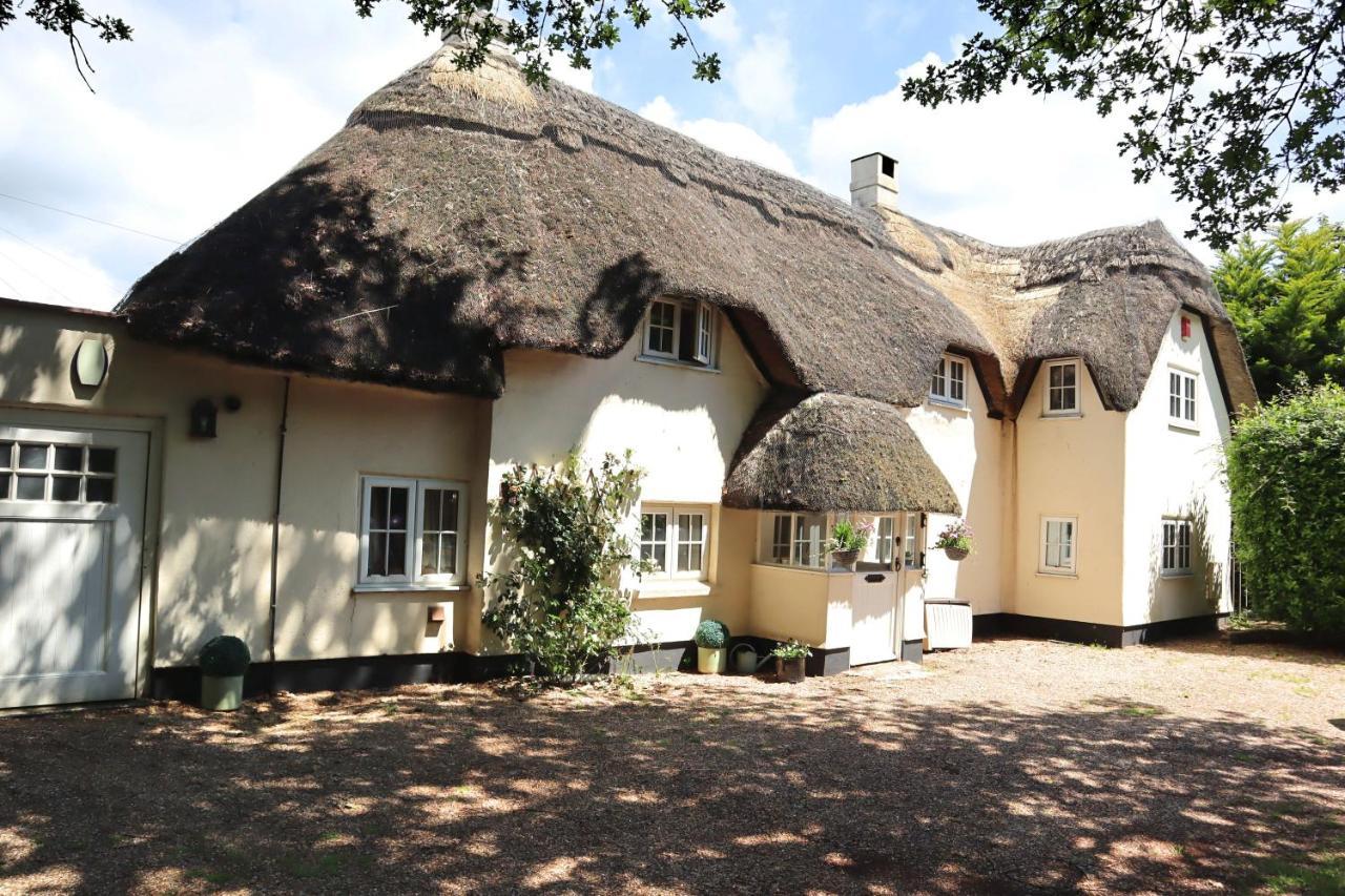 Dorset Thatch Retreat: Spacious Family With Garden And Access Wimborne Minster